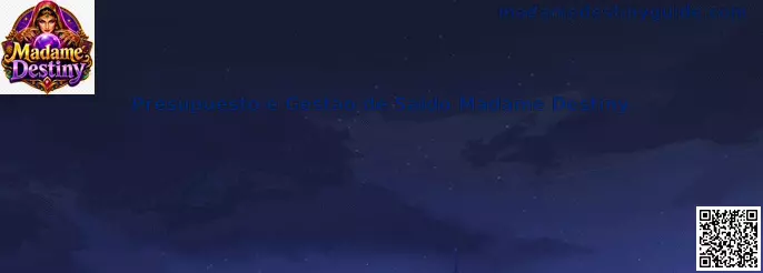 Presupuesto e Gestão de Saldo Madame Destiny