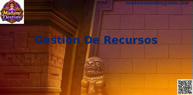 Gestión De Recursos Madame Destiny